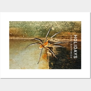 happiness spider Posters and Art